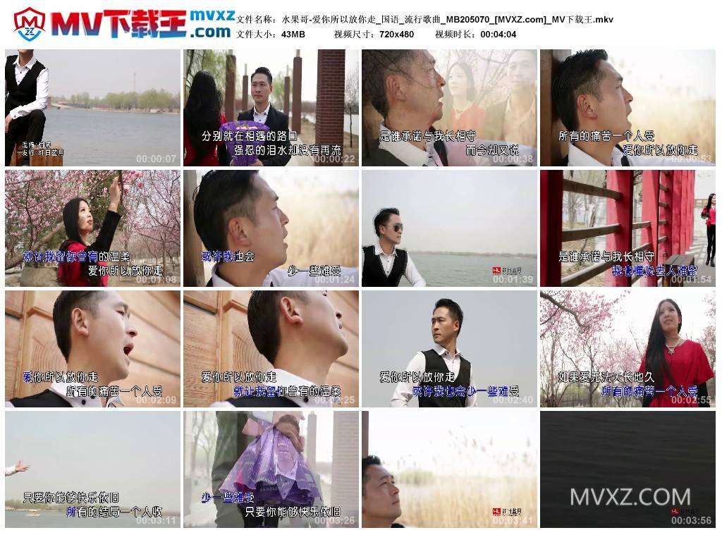 水果哥-爱你所以放你走_国语_流行歌曲_MB205070